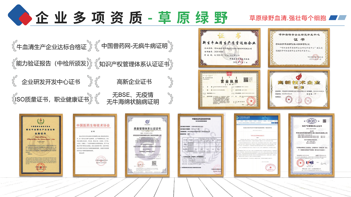 3.企業歷程的文字版-草原綠野_頁面_6.png